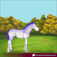 Horse Color:Watercolor Brown Onyx Sabino Rabicano