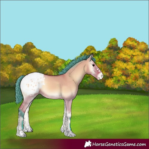 Horse Color:Watercolor Bay Onyx Blanket