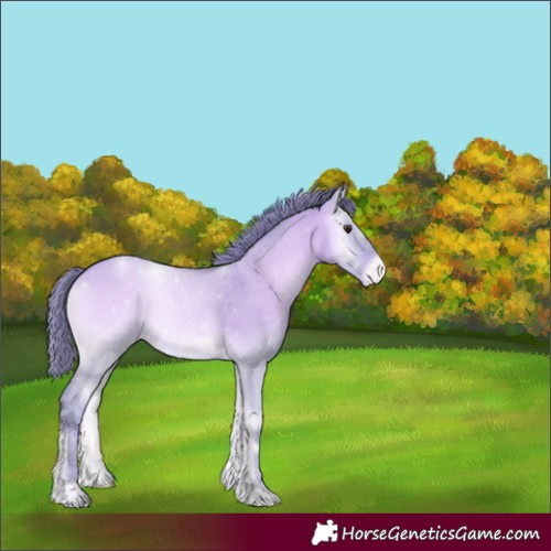 Horse Color:Watercolor Amber Champagne Onyx Varnish