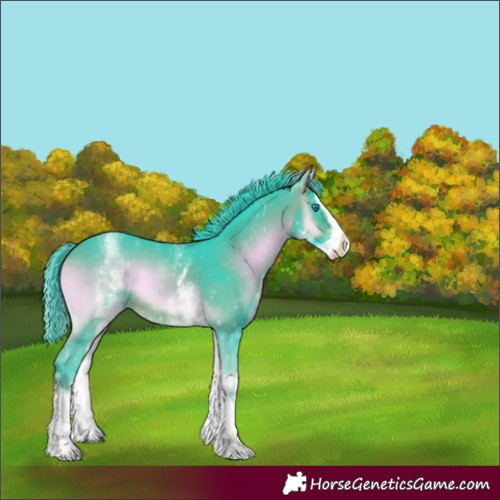 Horse Color:Watercolor White Spotted Brown Onyx Splash Varnish