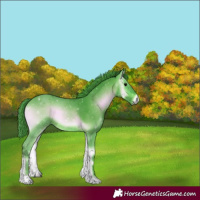 Horse Color:Watercolor Bay Onyx 