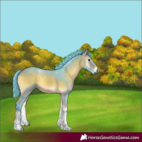 Horse Color:Gray Watercolor Bay Onyx Tobiano