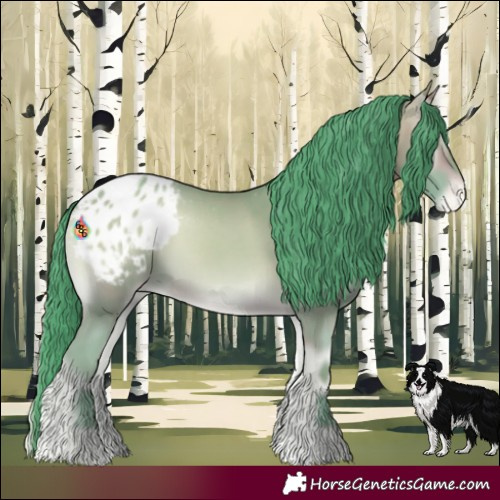 Horse Color:Watercolor Amber Champagne Onyx Appaloosa 