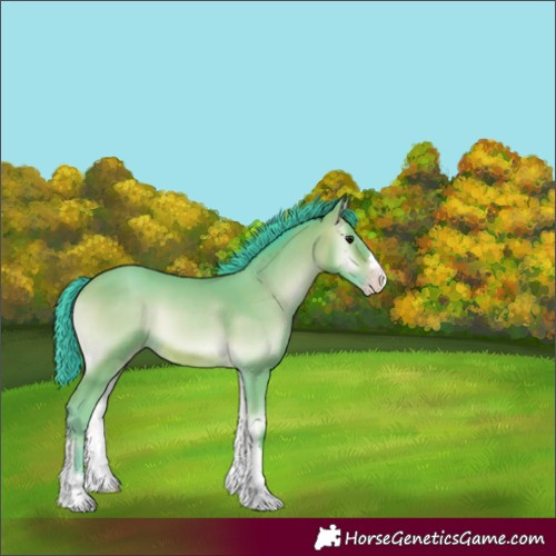 Horse Color:Watercolor Sable Champagne Onyx 