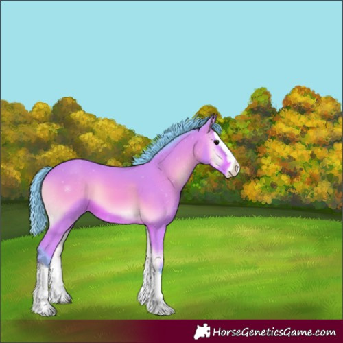 Horse Color:Watercolor Bay Onyx Splash