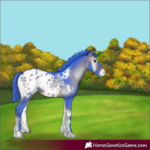 Horse Color:Watercolor Bay Onyx Near Leopard