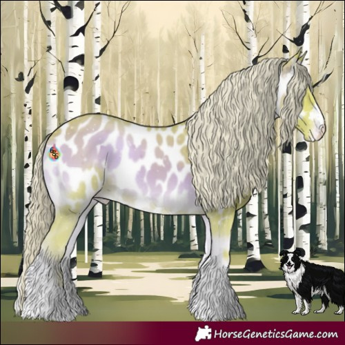 Horse Color:Watercolor Palomino Onyx Appaloosa