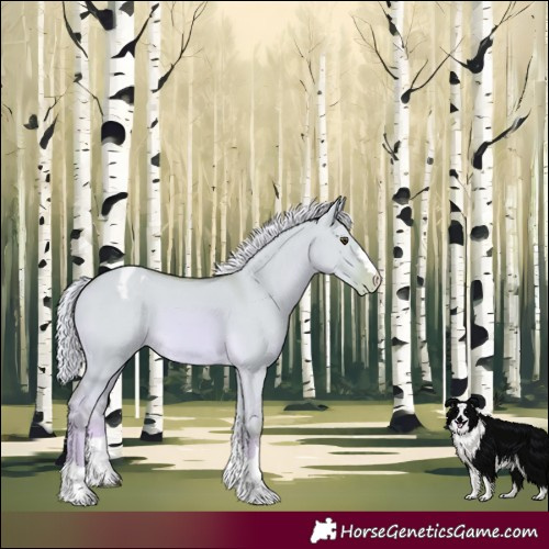 Horse Color:Watercolor Palomino Dun Appaloosa
