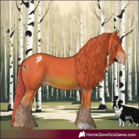 Horse Color:Watercolor Chestnut Appaloosa 