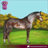 Horse Color:Liver Chestnut and Gray Liver Chestnut