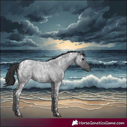 Horse Color:Blue Ice Roan