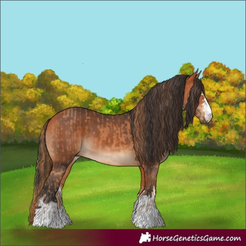 Horse Color:Chestnut  and Bay 