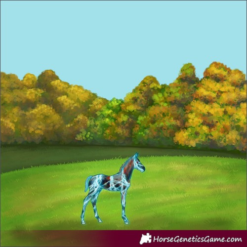 Horse Color:ERROR: UNKNOWN ANOMALY