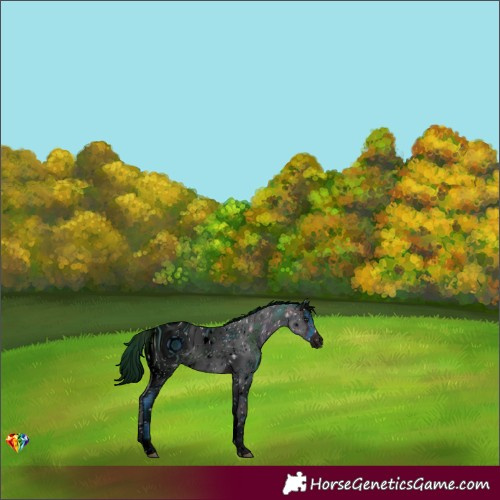 Horse Color:ERROR: UNKNOWN ANOMALY