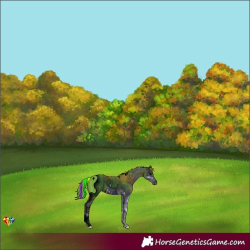 Horse Color:ERROR: UNKNOWN ANOMALY