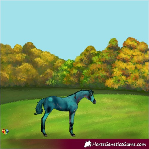 Horse Color:ERROR: UNKNOWN ANOMALY