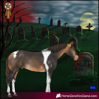 Horse Color:Buckskin Tobiano Appaloosa Rabicano