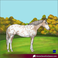 Horse Color:Chocolate Palomino Pearl Sabino Blanket Rabicano 