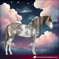 Horse Color:White Spotted Buckskin Sabino Varnish 