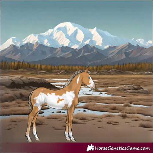 Horse Color:Palomino Frame 
