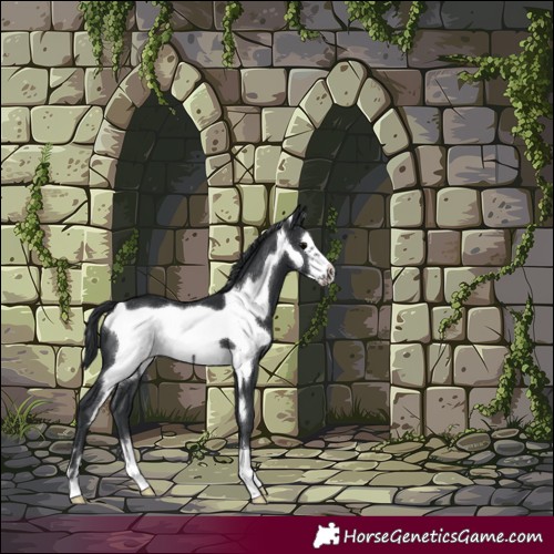 Horse Color:Black Frame 