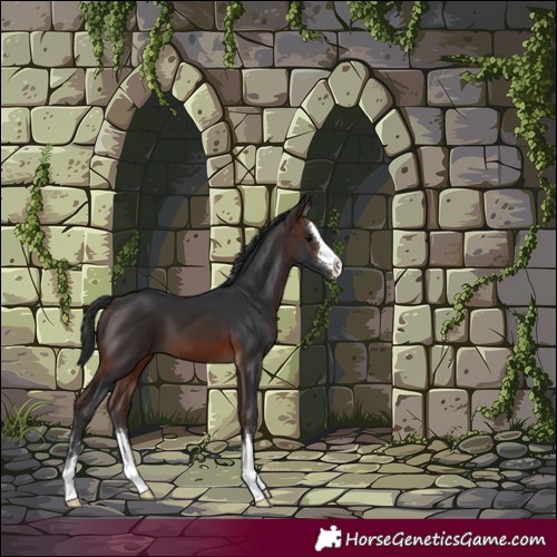 Horse Color:Brown 