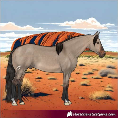 Horse Color:Bay Dun 