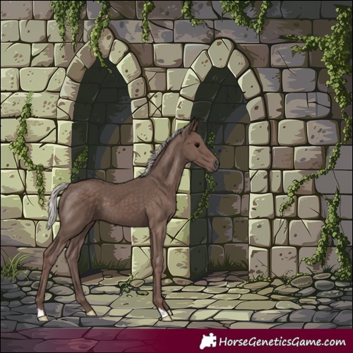Horse Color:Silver Black 