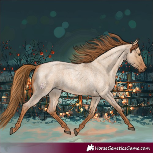 Horse Color:Red Dun Roan 