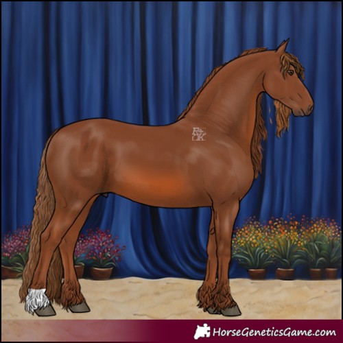 Horse Color:Chestnut 