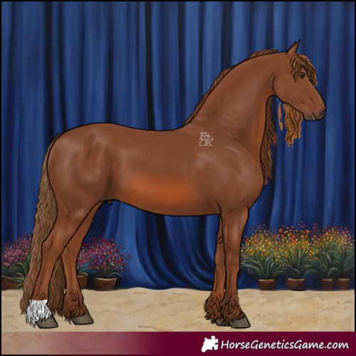 Horse Color:Chestnut 