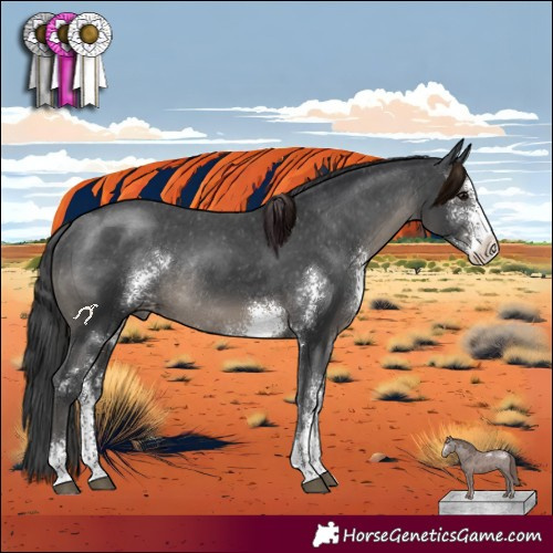 Horse Color:Black Sabino Varnish Rabicano 