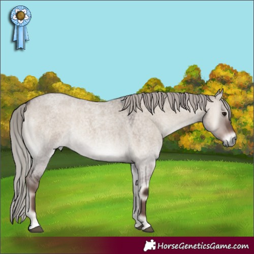 Horse Color:Silver Grullo Roan Onyx 