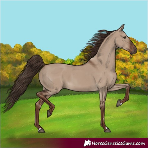 Horse Color:Liver Red Dun 
