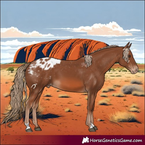 Horse Color:Chestnut Blanket 