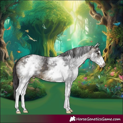 Horse Color:White Spotted Buckskin