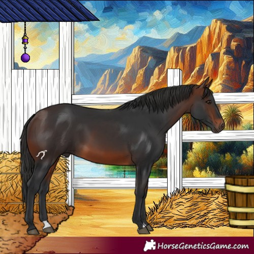 Horse Color:Brown 