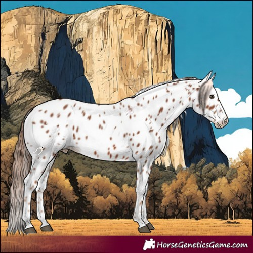 Horse Color:Chestnut Leopard 