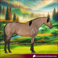 Horse Color:Bay Dun