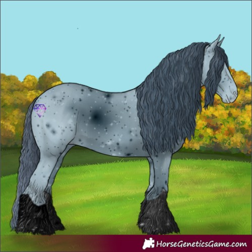 Horse Color:ERROR: UNKNOWN ANOMALY