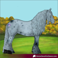 Horse Color:ERROR: UNKNOWN ANOMALY