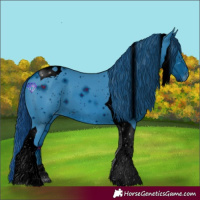 Horse Color:ERROR: UNKNOWN ANOMALY