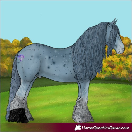 Horse Color:ERROR: UNKNOWN ANOMALY