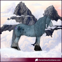 Horse Color:ERROR: UNKNOWN ANOMALY