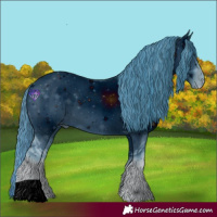 Horse Color:ERROR: UNKNOWN ANOMALY