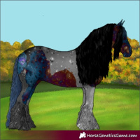 Horse Color:ERROR: UNKNOWN ANOMALY