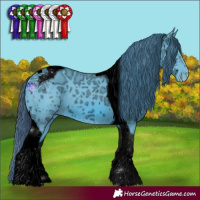 Horse Color:ERROR: UNKNOWN ANOMALY