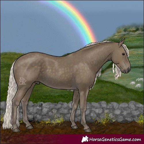 Horse Color:Silver Smoky Black
