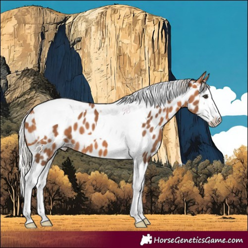 Horse Color:Silver Bay Splash Tobiano Near Leopard 