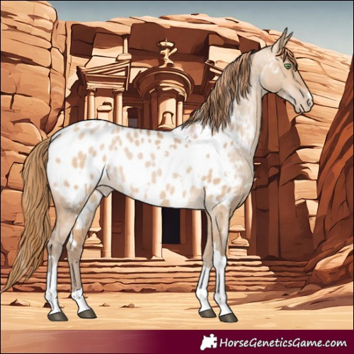 Horse Color:White Spotted Brown Pearl Dun Tobiano Near Leopard Rabicano 